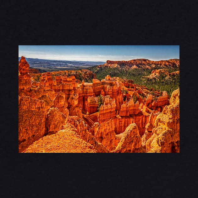 Bryce Canyon National Park by Gestalt Imagery